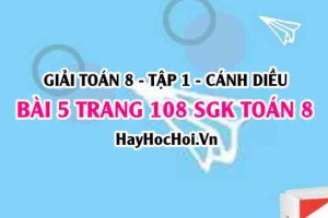 Giải bài 5 trang 108 Toán 8 Tập 1 SGK Cánh Diều